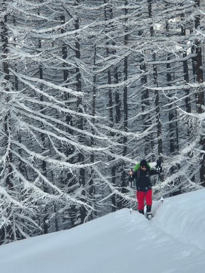 Vallee de Claree